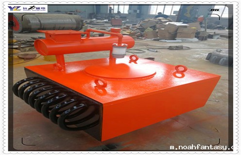 油浸自冷自卸式电磁除铁器