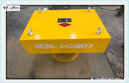 潍坊永磁除铁器现货超低价