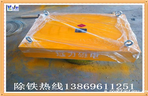 青岛城阳永磁除铁器磁力误差有哪些
