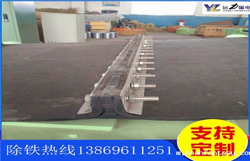 皮带除铁器,天津皮带除铁器专项整治_安装_天津除铁器如何换皮带跑偏原因及如何调_刮板价格 皮带除铁器,天津皮带除铁器专项整治_安装_天津除铁器如何换皮带跑偏原因及如何调_刮板价格