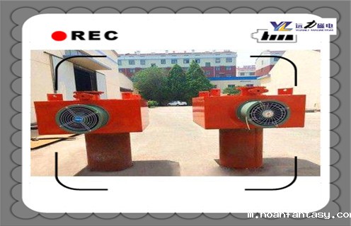 风冷式电磁除铁器,南通RCDC-10风冷式电磁除铁器厂家_选型_南通RCDC-10风冷式电磁除铁器厂家工作原理_价格 风冷式电磁除铁器,南通RCDC-10风冷式电磁除铁器厂家_选型_南通RCDC-10风冷式电磁除铁器厂家工作原理_价格