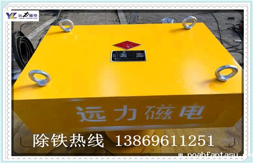 永磁除铁器，福建永磁除铁器rcyd 8_福建永磁除铁器rcyd 8_使用说明书原理型号
