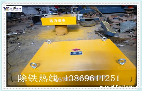 永磁除铁器，福建永磁除铁器rcyd 8_福建永磁除铁器rcyd 8_使用说明书原理型号